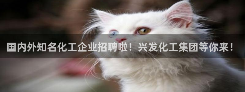 球盟会手机网页版