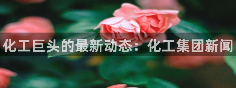 球盟会qmh - 球盟会官方网站