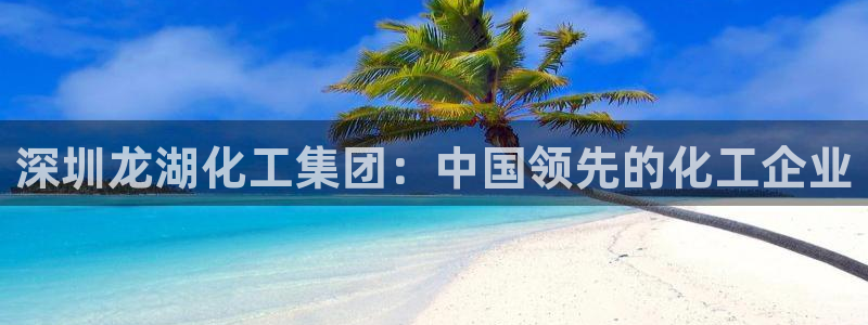 球盟会进不去
