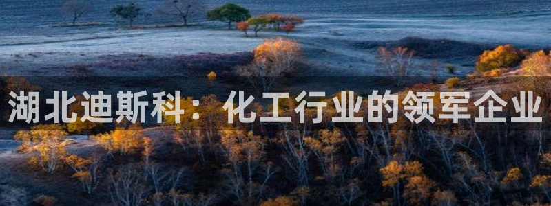 球盟会体验金