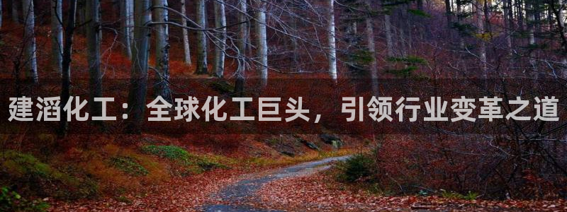 球盟会和中欧合作吗