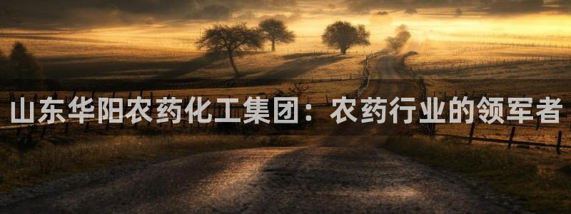 球盟会qm9