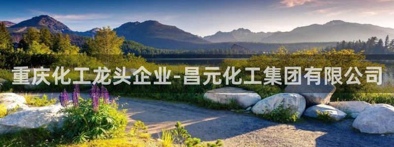球盟会里面有打牌的嘛：重庆化工龙头企业-昌元化工集团有限公司