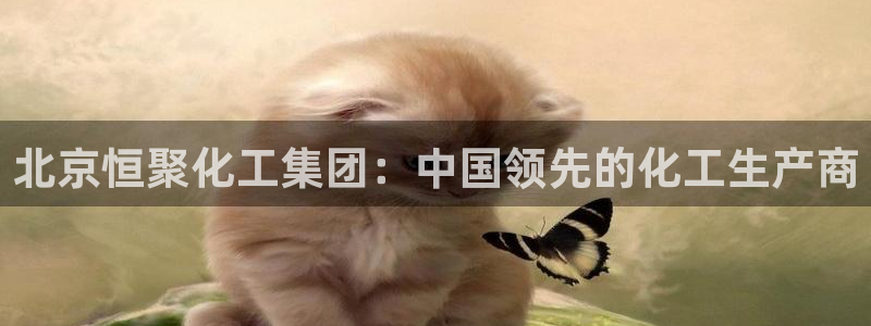 球盟会app网址多少号：北京恒聚化工集团：中国领先的化工生产