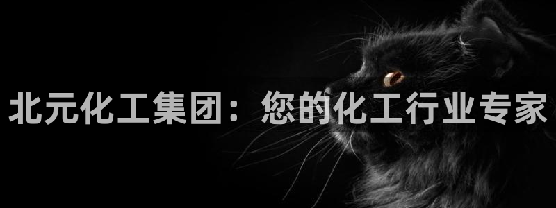 球盟会黑台子