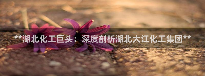 球盟会中国官方网站