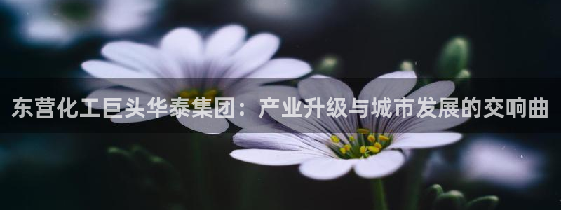 球盟会app最新地址在哪