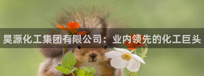 球盟会qmh网页版登录 - qm球盟会官方网站