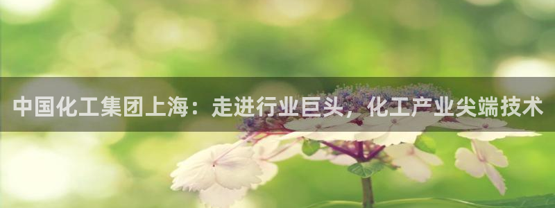 球盟会进不去球员吗