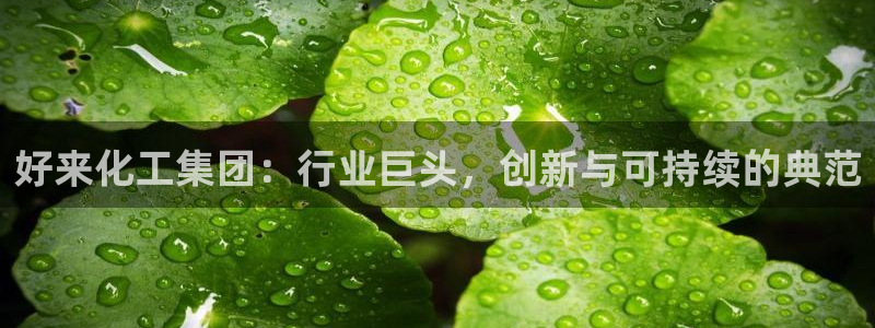 球盟会官方版下载地址