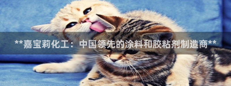 球盟会qmh