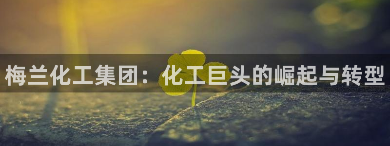 球盟会进不去球员吗