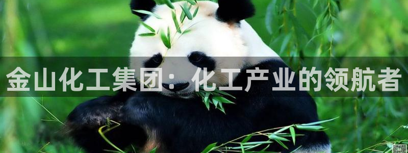 球盟会几点玩合适