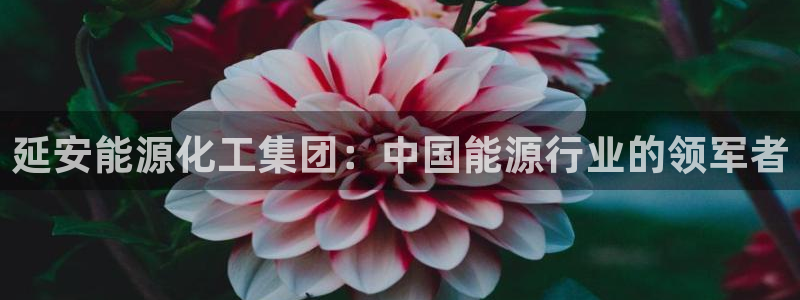 球盟会综合体育平台怎么样：延安能源化工集团：中国能源行业的领