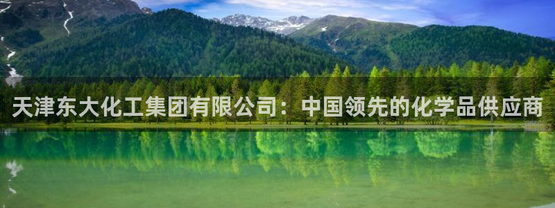 球盟会黑网：天津东大化工集团有限公司：中国领先的化学品供应商