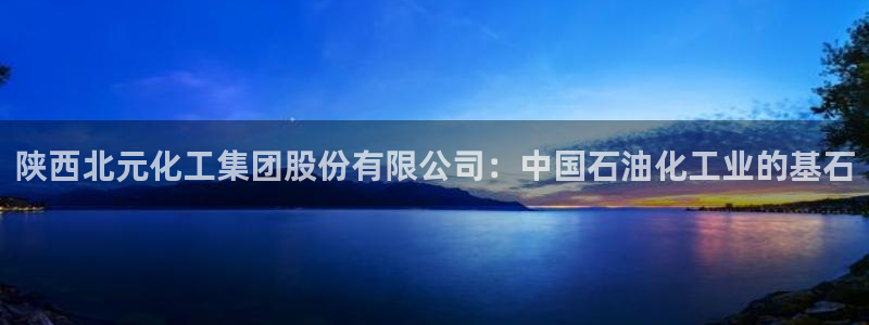 球盟会app最新地址下载：陕西北元化工集团股份有限公司：中国