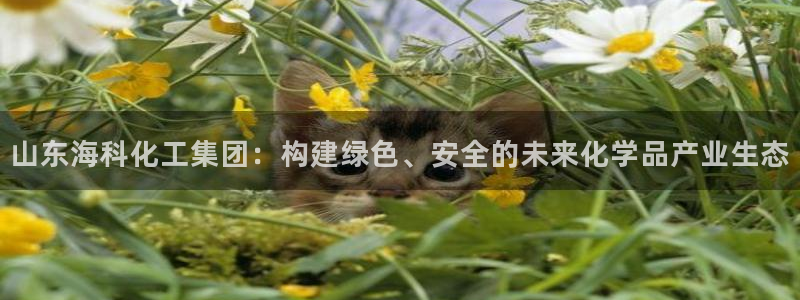 球盟会官网登录入口：山东海科化工集团：构建绿色、安全的未来化