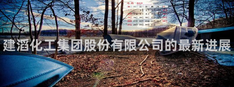 球盟会国际官网：建滔化工集团股份有限公司的最新进展