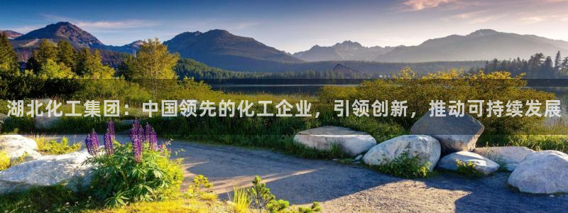 球盟会(中国)官方网站：湖北化工集团：中国领先的化工企业，引
