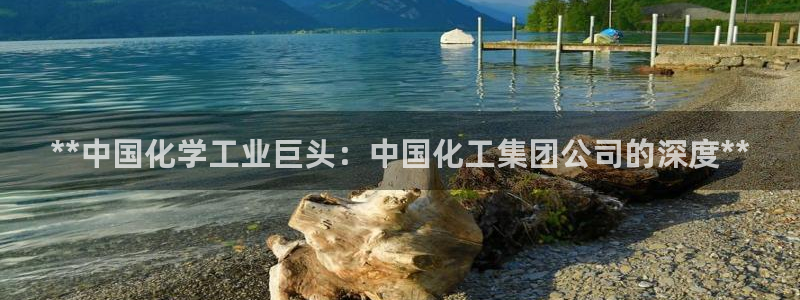 球盟会出款黑了：**中国化学工业巨头：中国化工集团公司的深度