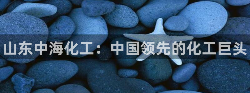 球盟会黑平台