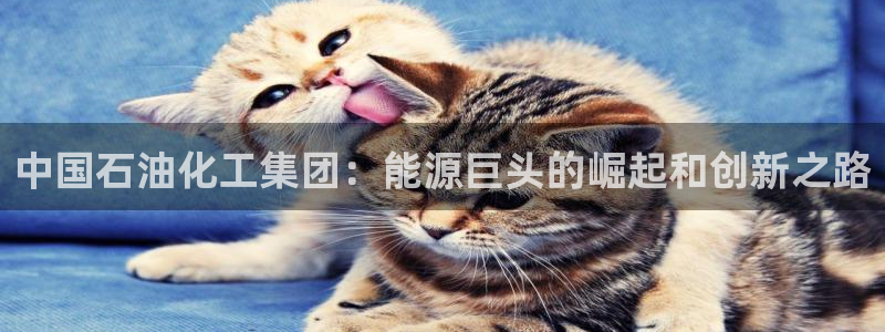球盟会能提现吗：中国石油化工集团：能源巨头的崛起和创新之路