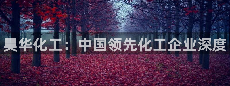球盟会官方登录平台