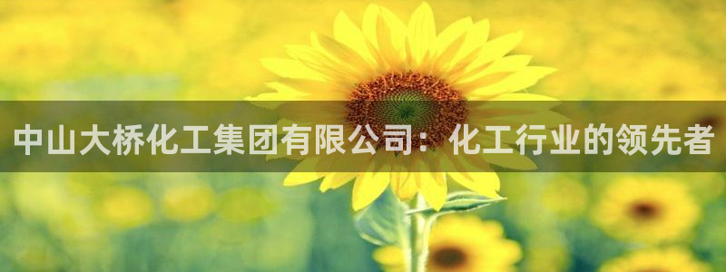 球盟会登陆入口：中山大桥化工集团有限公司：化工行业的领先者