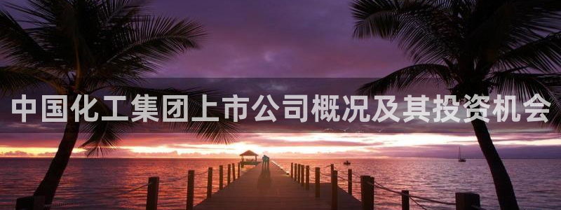 球盟会qmh电子网页版登录：中国化工集团上市公司概况及其投资