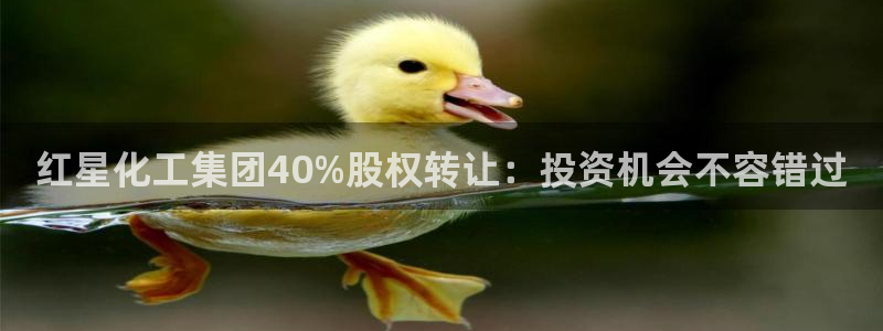 球盟会和中欧会的区别