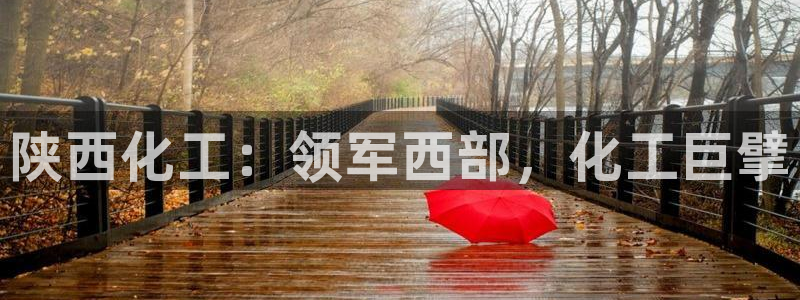 球盟会黑钱：陕西化工：领军西部，化工巨擘