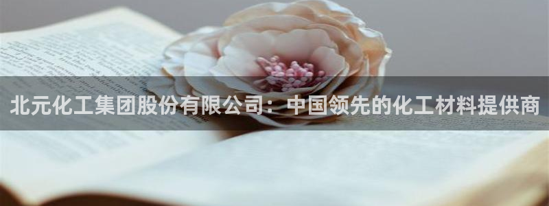 球盟会官方最新入口：北元化工集团股份有限公司：中国领先的化工