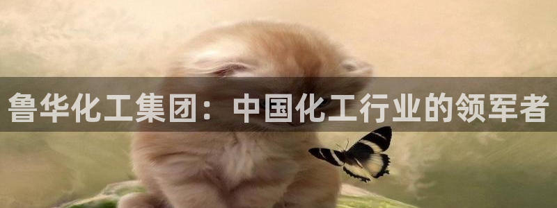 球盟会登陆入口