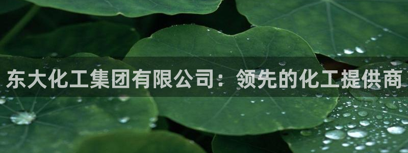 球盟会app最新地址下载安装：东大化工集团有限公司：领先的化