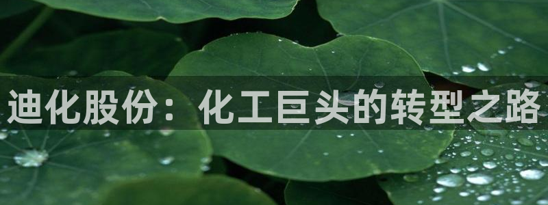 球盟会和中欧会的区别：迪化股份：化工巨头的转型之路