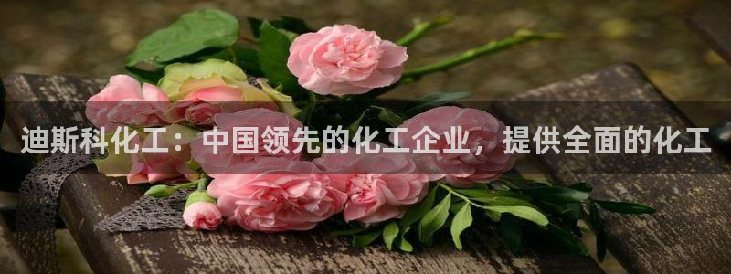 球盟会qmh官网：迪斯科化工：中国领先的化工企业，提供全面的