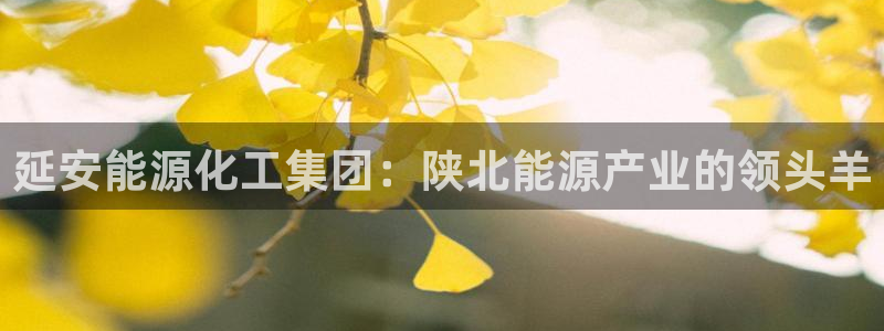 球盟会app安装