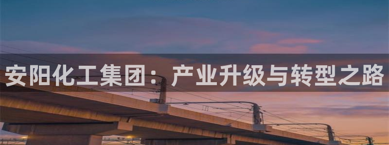 球盟会进不去