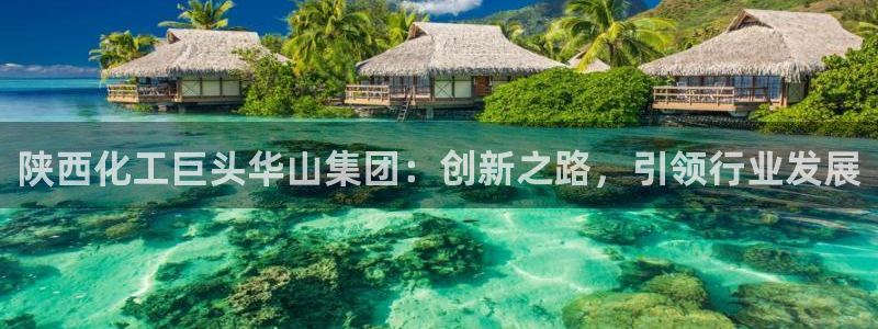 球盟会在线网站