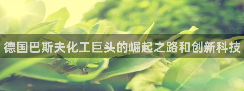 球盟会黑