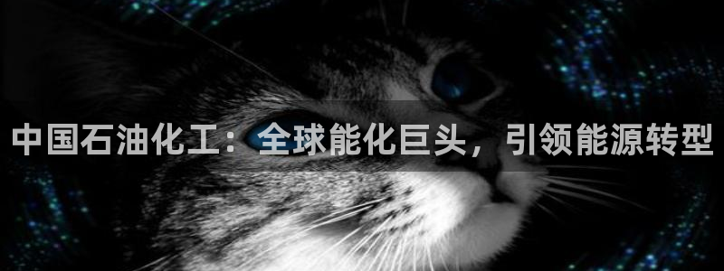 球盟会黑款吗