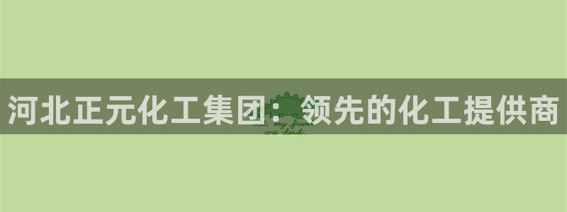 球盟会登陆中心：河北正元化工集团：领先的化工提供商