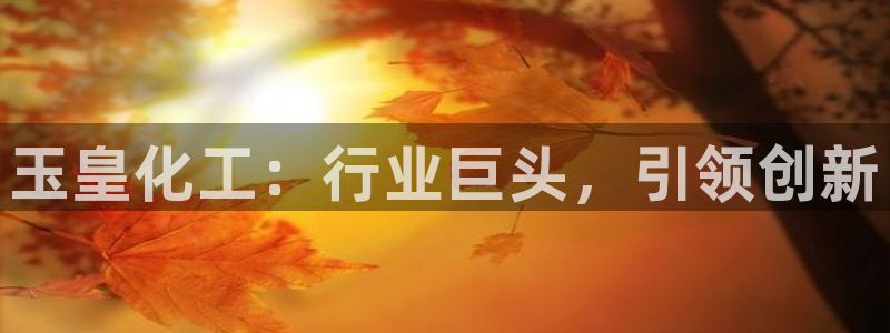 球盟会黑台子吗：玉皇化工：行业巨头，引领创新