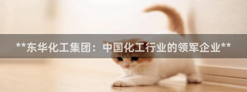球盟会唯一：**东华化工集团：中国化工行业的领军企业**