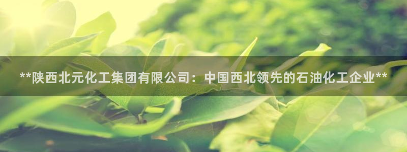 球盟会游戏几点玩合适：**陕西北元化工集团有限公司：中国西北