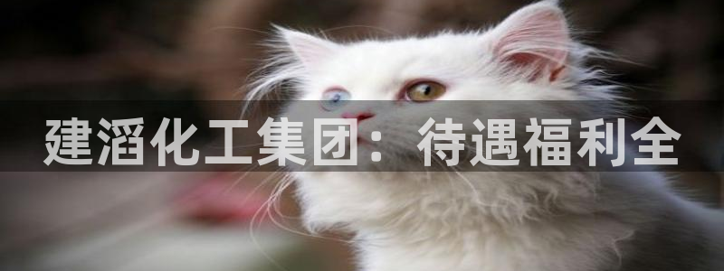 球盟会乐虎