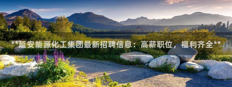 球盟会地址：**延安能源化工集团最新招聘信息：高薪职位，福利