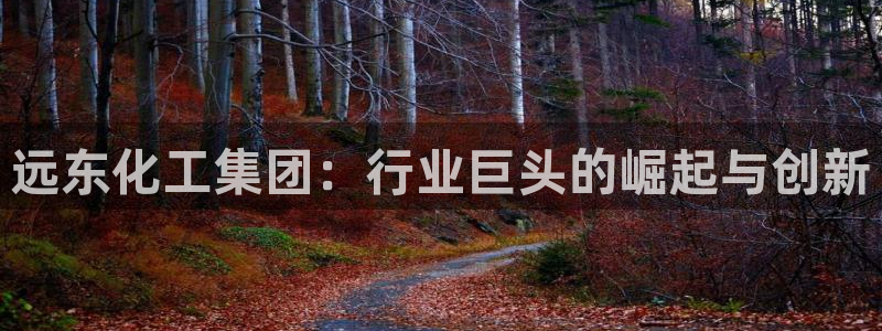 球盟会网址多少