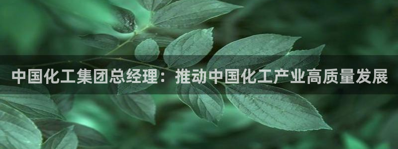 球盟会进不去吗：中国化工集团总经理：推动中国化工产业高质量发