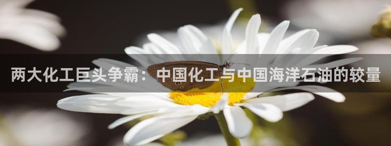 球盟会邮箱